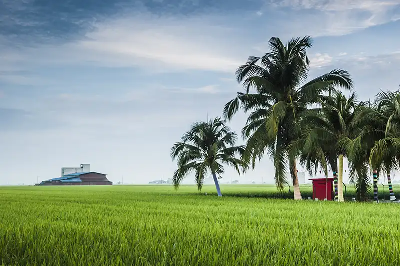This photo was taken in Port Dickson beach It will be used in day trips from Kuala Lumpur articles. Write the images details as below. 
Alt text
Title
Caption
Description