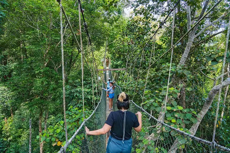 Visitors walking on the canopy walkway in Taman Negara, surrounded by lush rainforest, a popular destination for short trips in Malaysia