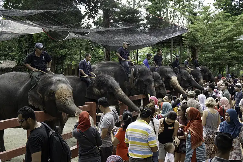 things to do in kuala lumpur gallery