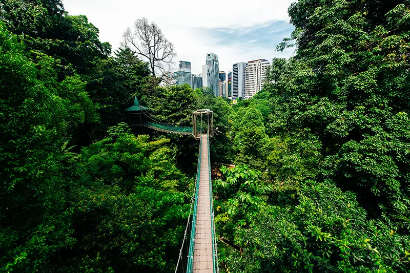 A scenic canopy walk in Kuala Lumpur Eco Park, offering lush greenery and city views, one of the top things to do in Kuala Lumpur for nature lovers.