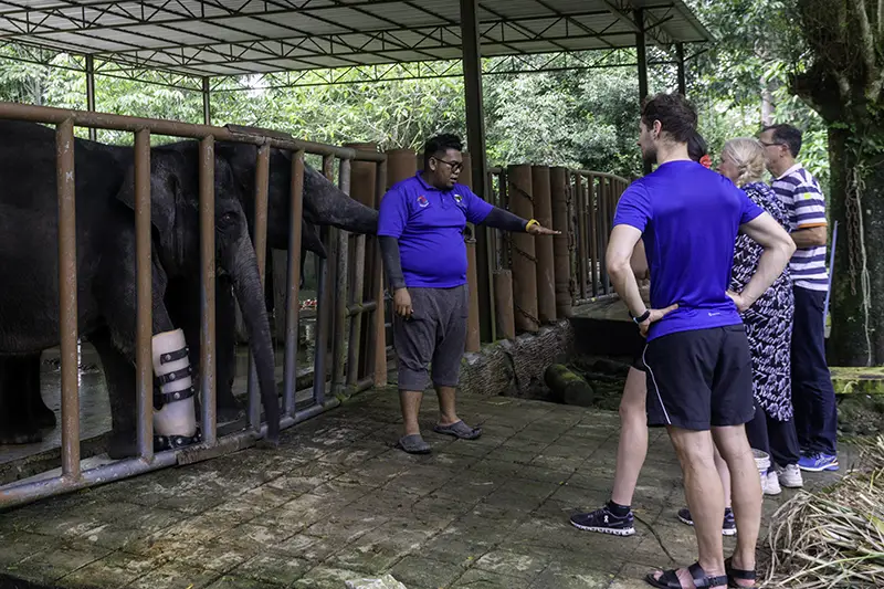 A nature guide conducting an educational briefing for tourists at Malaysia Elephant Sanctuary, providing insights into elephant conservation.