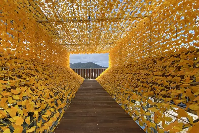 Tunnel walkway decorated with yellow leaves at Cameron Highlands Flora Park, a colorful attraction in Cameron Highlands Malaysia