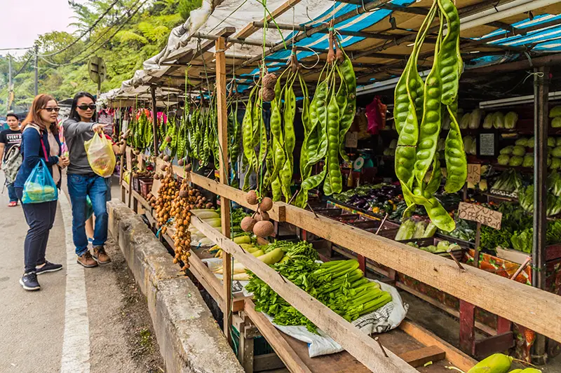 Tourists shopping for local vegetables like petai at Kea Farm market, one of the popular places to visit in Cameron Highlands