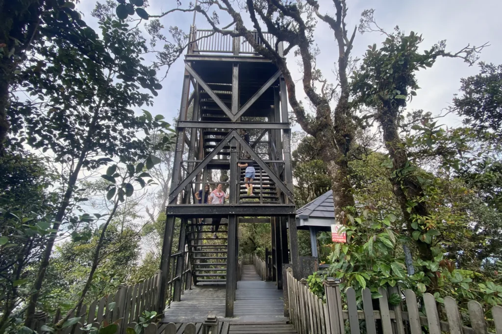 Observation tower surrounded by misty trees in the Mossy Forest, a popular Cameron Highlands attraction